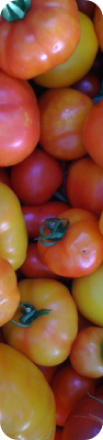 the Ledson's Family CSA Farm Heirloom Tomatoes